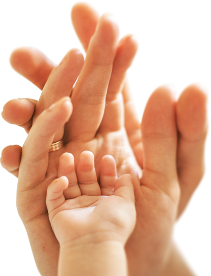 Bady hand inside of a adults hand